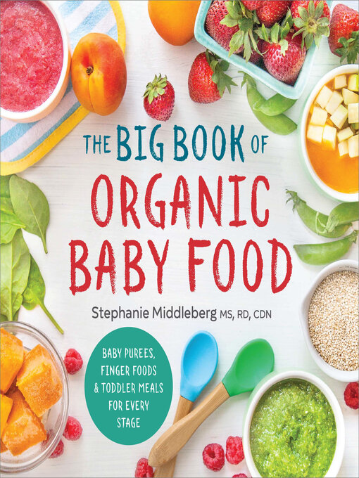 Cover image for The Big Book of Organic Baby Food